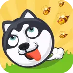Crazy Dog APP