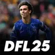 DLS 25 Download APK