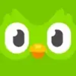 Dulyinfo APK Download