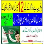 Ehsaas Program Cnic Check Online APK