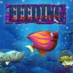 Feeding Frenzy APK