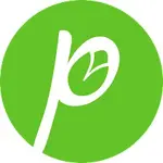 Green Pista APK
