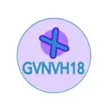 Gvnvh18 Tool APK