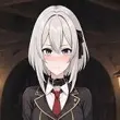 White Knight Training APK